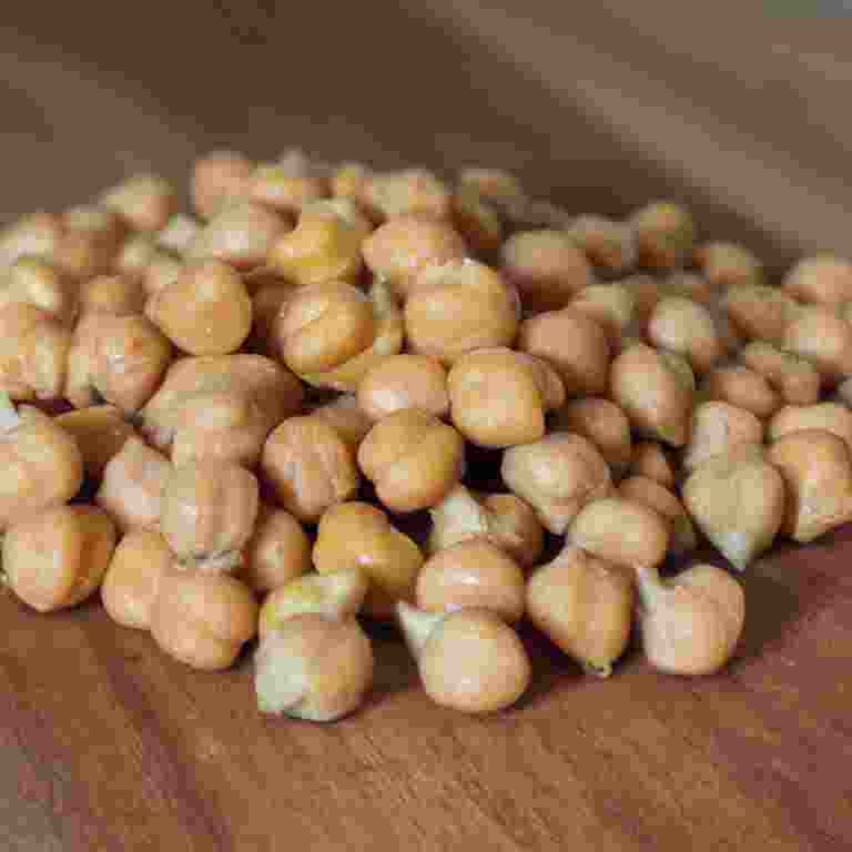 Garbanzo Bean Plantbased Ingredient Index Chakra Restaurant NYC