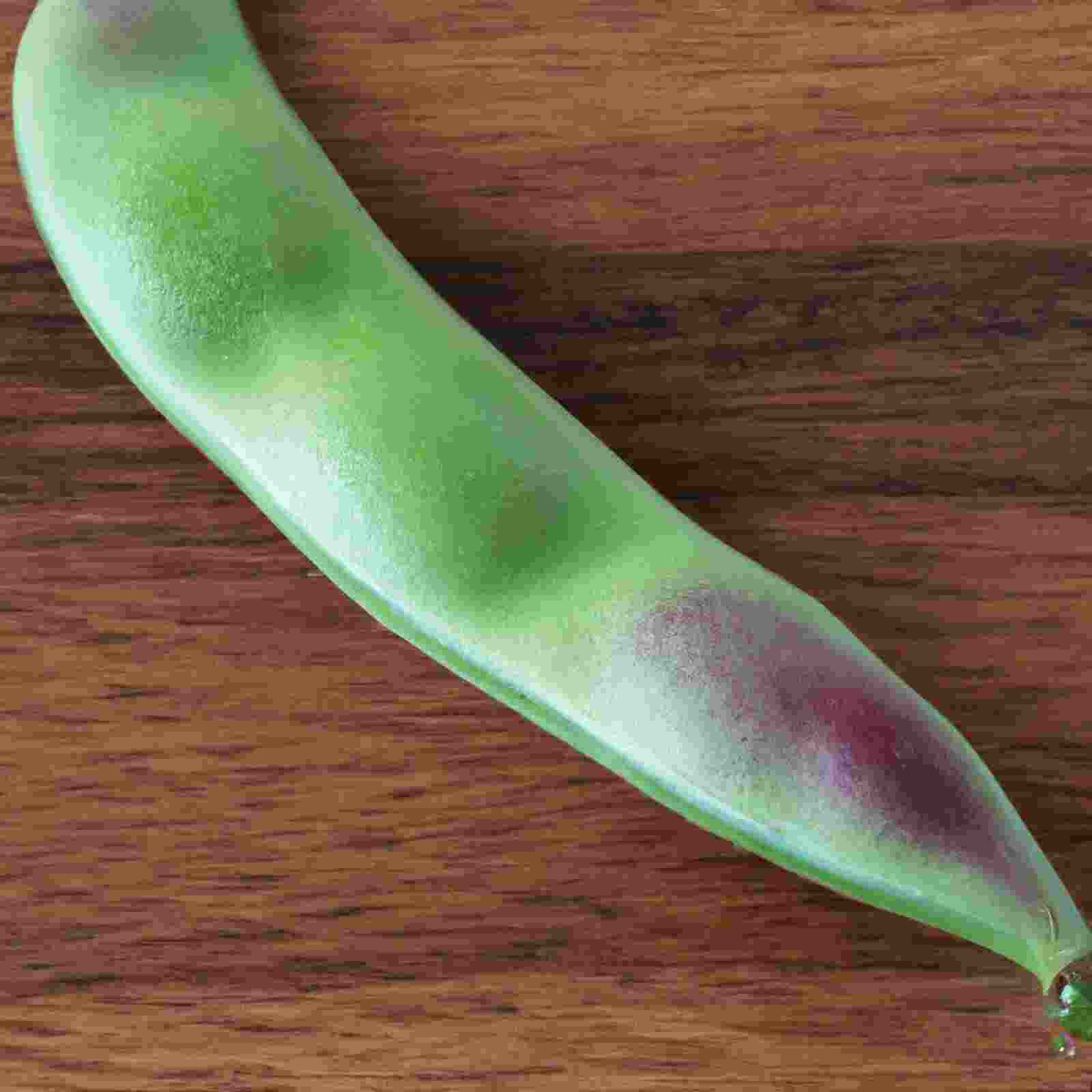 The Ultimate Butter Bean Vs. Great Northern Bean Guide - pzga54n